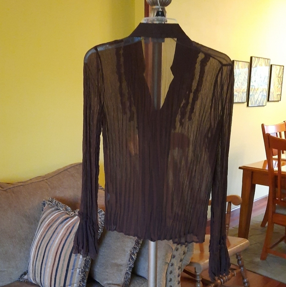 Women's Beautiful Brown Sheer Ruffle Crinkle Blouse - Picture 4 of 4